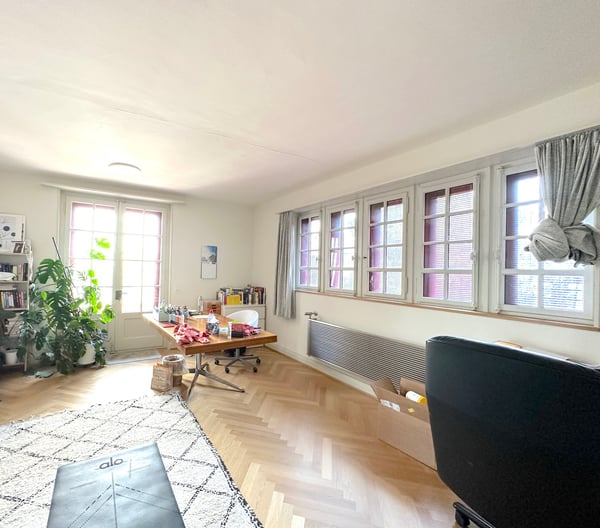 Gellert: Prestigious 480 sqm Art Nouveau villa with beautiful garden 9