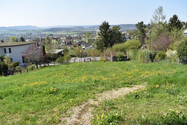 1186 sqm of building land for villa and an additional 865 sqm of woodland in Dornach 3