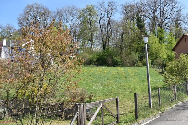 1186 sqm of building land for villa and an additional 865 sqm of woodland in Dornach 2
