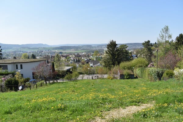 1186 sqm of building land for villa and an additional 865 sqm of woodland in Dornach 4