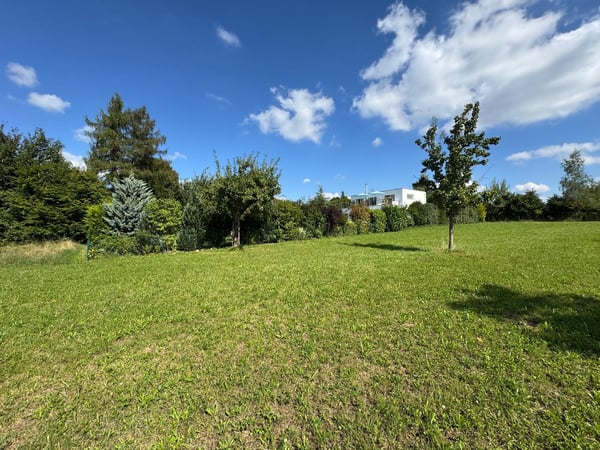Traumhafte Parzelle in Hochwald mit zus.. Baulandreserve u. bew. Projekt 10