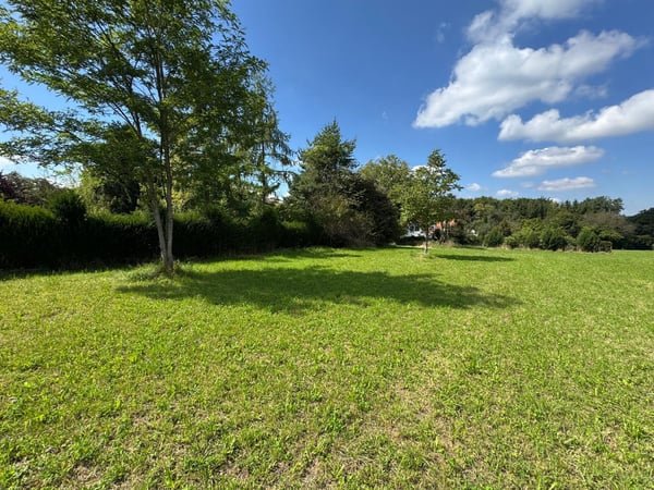 Traumhafte Parzelle in Hochwald mit zus.. Baulandreserve u. bew. Projekt 5