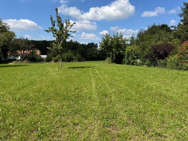 Traumhafte Parzelle in Hochwald mit zus.. Baulandreserve u. bew. Projekt 7