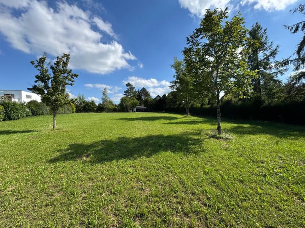 Traumhafte Parzelle in Hochwald mit zus.. Baulandreserve u. bew. Projekt 11
