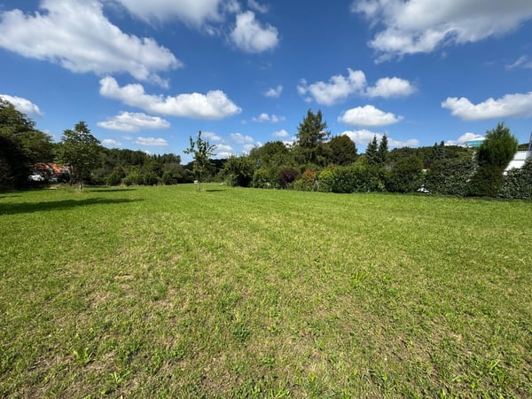 Traumhafte Parzelle in Hochwald mit zus.. Baulandreserve u. bew. Projekt 3