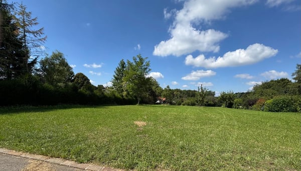 Traumhafte Parzelle in Hochwald mit zus.. Baulandreserve u. bew. Projekt 12