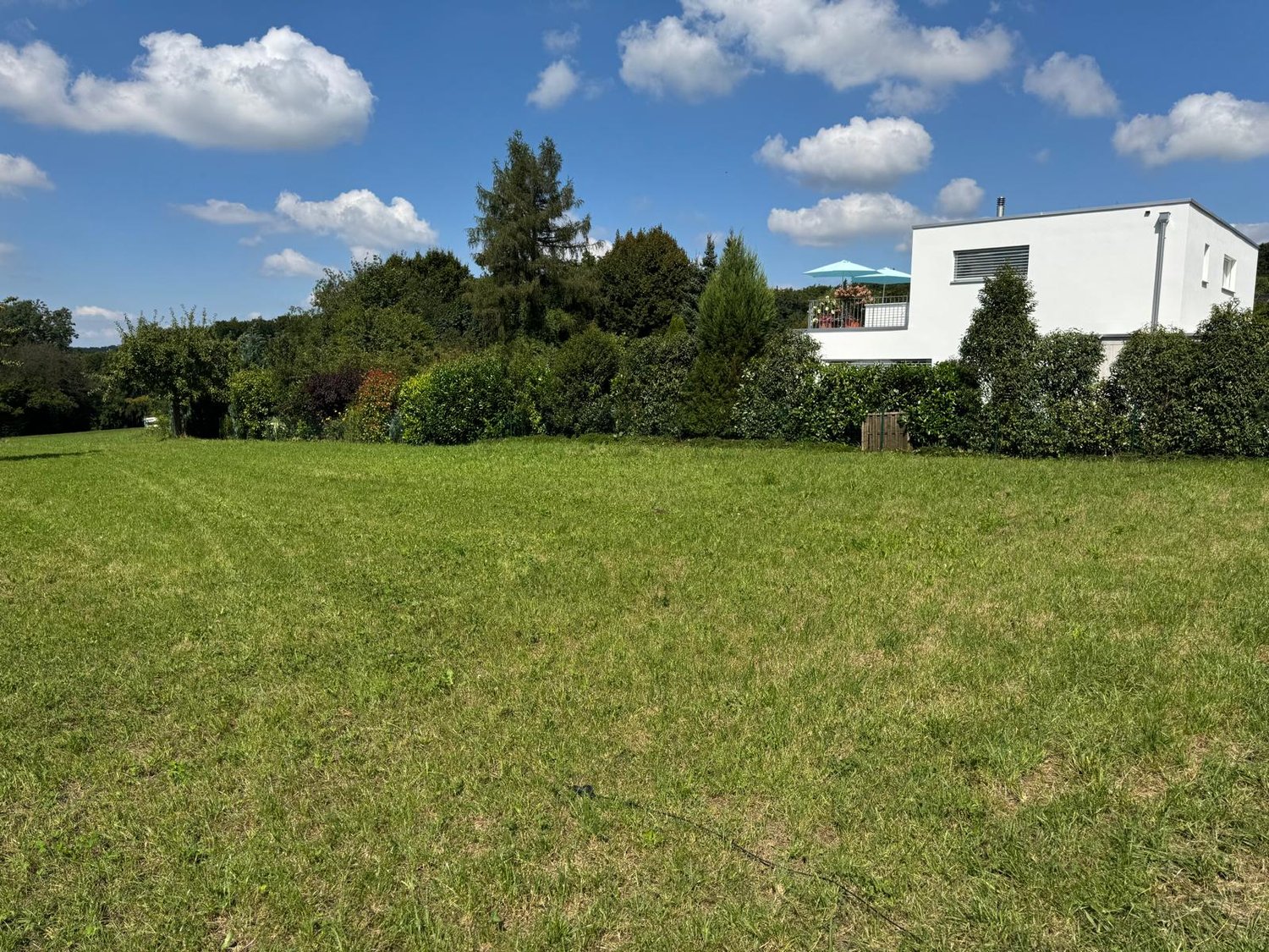 flat grassy field, modern white house, trees and bushes in background, clear blue sky