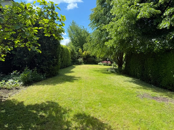 Stylish 10-Room Townhouse in a Prime Location in Riehen with a Stunning Garden and Garage Box 3