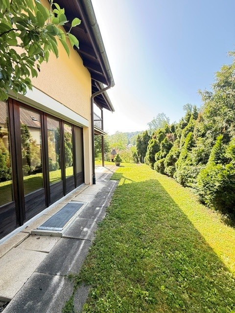 6.5-Zimmer-Einfamilienhaus in ruhiger Lage in Pratteln 3