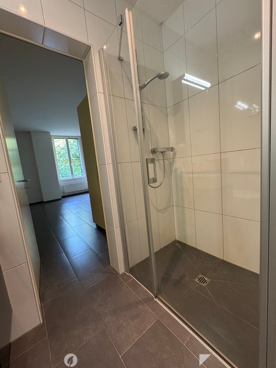 Renovierte 2.5-Zimmer-Altbauwohnung  / Appartement rénové de 2,5 pièces 7