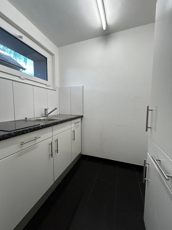 Renovierte Studiowohnung im Lindenquartier zu vermieten 2