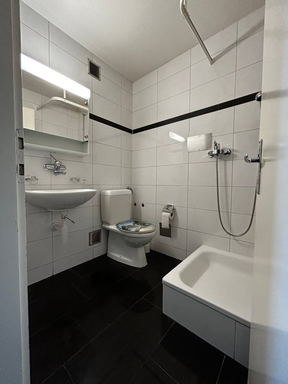 Renovierte Studiowohnung im Lindenquartier zu vermieten 4