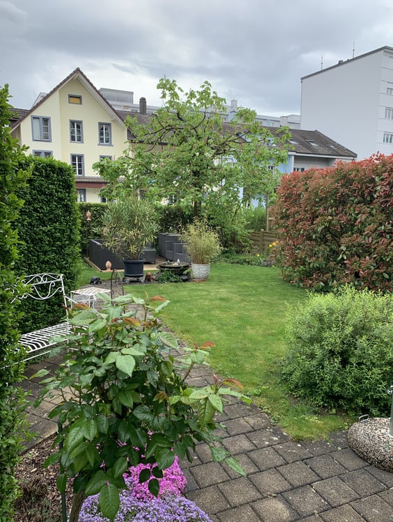 Wohnen im Einfamilienhausquartiert! 3
