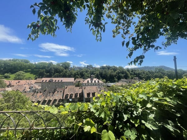 Neu saniert. Charmant historisch. Modern im Alltag. 7