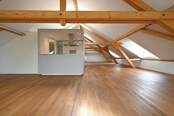 Grosszügige 4.5-Zimmer -Loftwohnung 4
