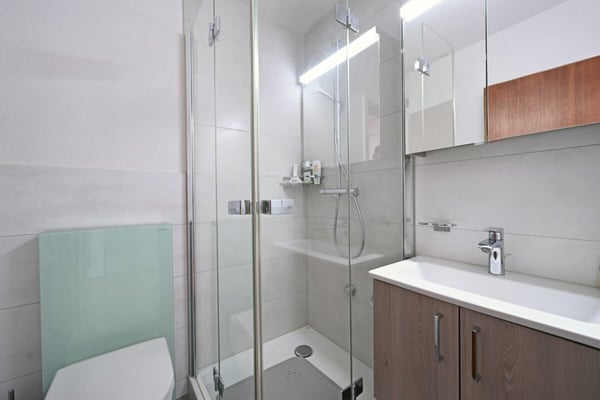 4.5-Zimmer-Attikawohnung mit Weitblick und grosser Terrasse 9