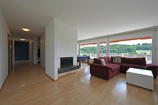 4.5-Zimmer-Attikawohnung mit Weitblick und grosser Terrasse 4
