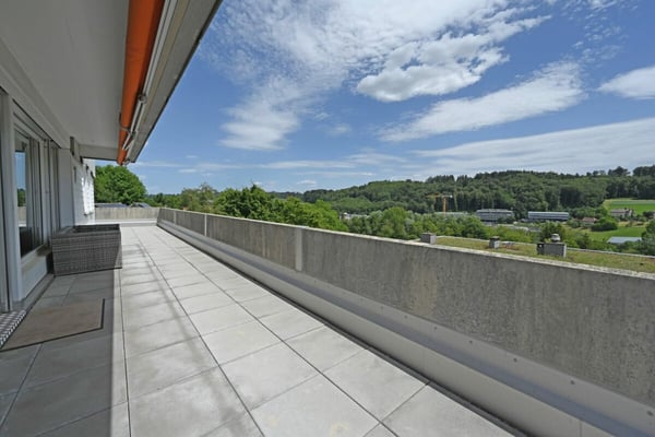 4.5-Zimmer-Attikawohnung mit Weitblick und grosser Terrasse 5