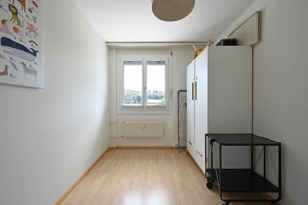 4.5-Zimmer-Attikawohnung mit Weitblick und grosser Terrasse 7