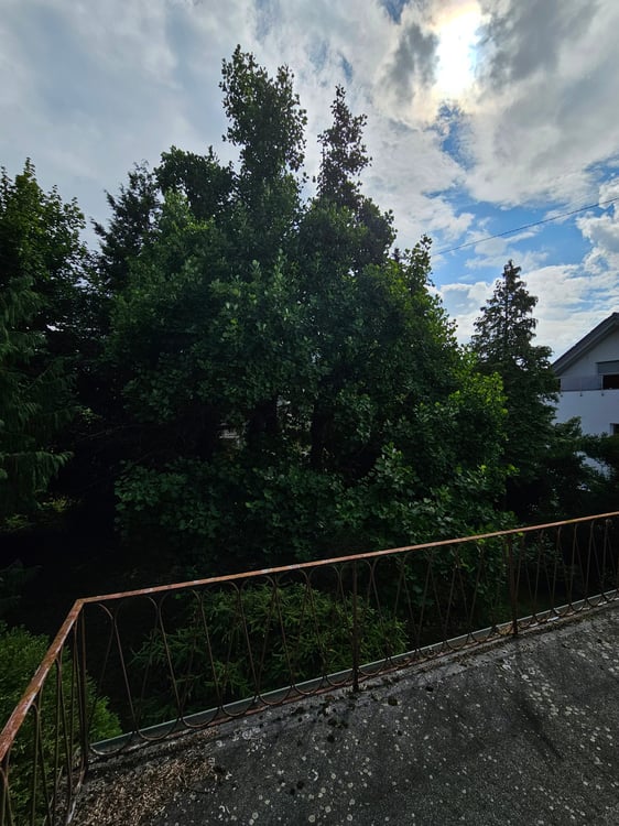 Charmantes 4-Zimmer-Einfamilienhaus in ruhiger Lage von Aesch 10