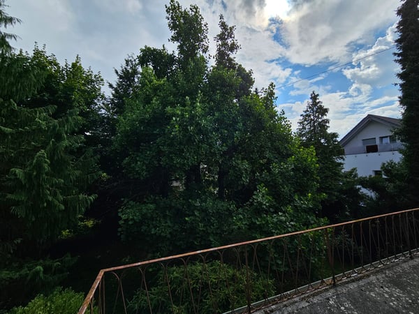 Charmantes 4-Zimmer-Einfamilienhaus in ruhiger Lage von Aesch 11