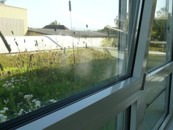 171 m² Gewerbe- und Bürofläche in Kaiseraugst – attraktiver Mietzins für Langzeitmieter 5