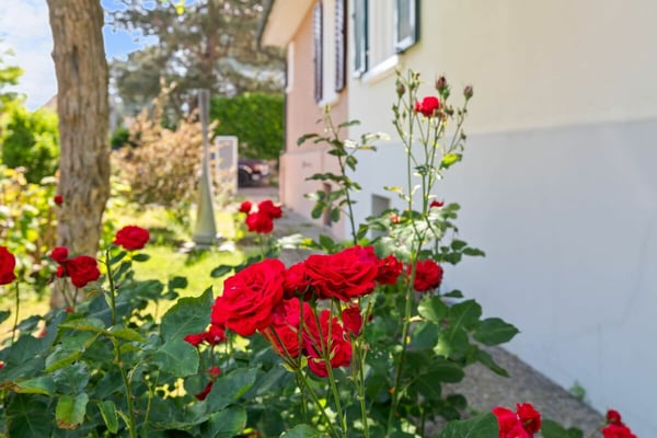 Gepflegtes 5 Zi-DEFH mit Garten und Werkstatt an familienfreundlicher Lage 17