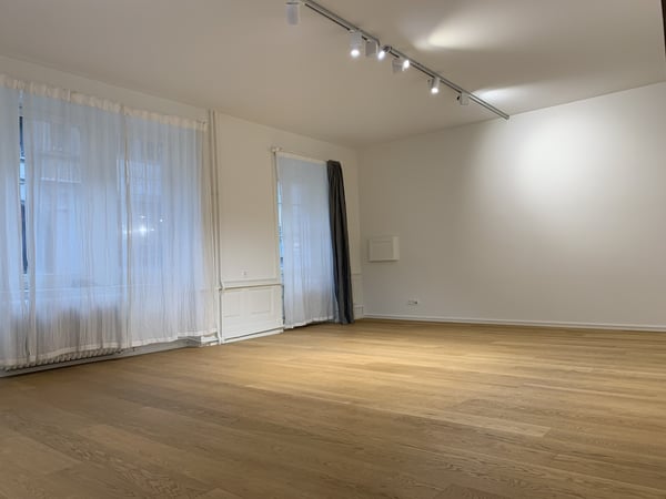 Einzigartiges Loft-Büro / Praxis im Herzen von Basel 1