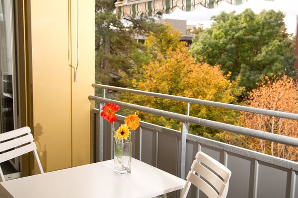 GELLERT near AESCHENPLATZ- 1 Room fully furnished 6