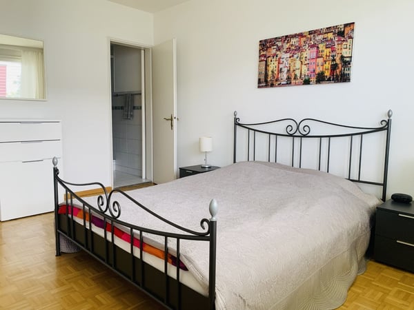 GELLERT near AESCHENPLATZ- 1 Room fully furnished 3