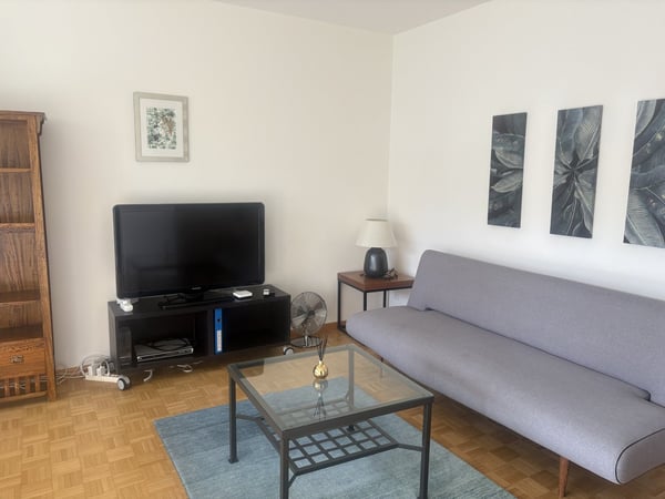 GELLERT near AESCHENPLATZ- 1 Room fully furnished 1