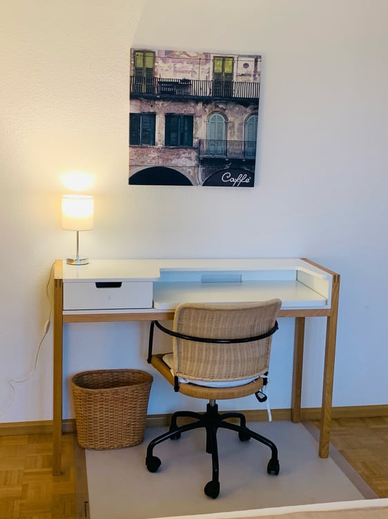 Furnished Apartment in Basel City Center 3