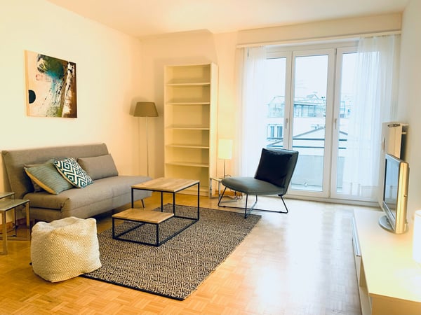 Furnished Apartment in Basel City Center 1