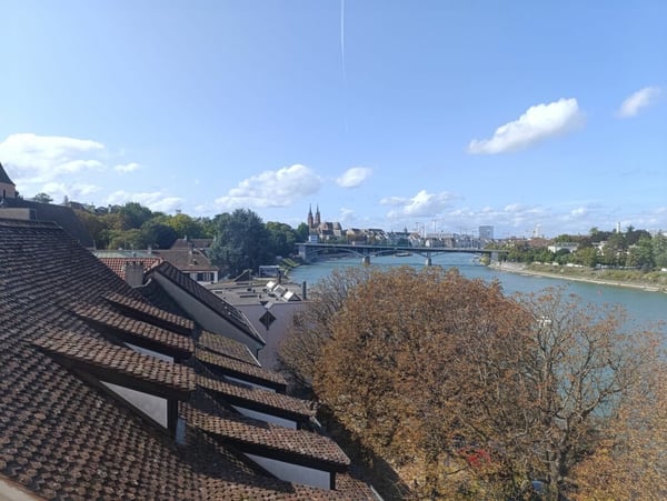Wohnen direkt am Rhein (St. Alban-Tal) 13