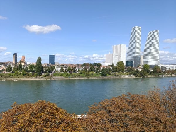 Wohnen direkt am Rhein (St. Alban-Tal) 12