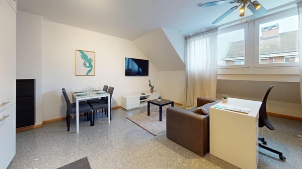 Unique Serviced Living @ Basel SBB / Gundeldingen 9