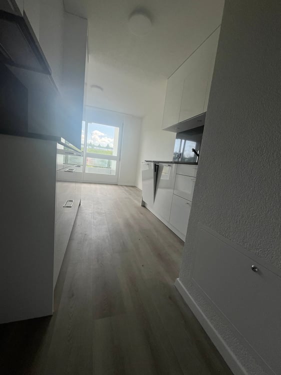 Was will man mehr? Neu renovierte 4.5 Zimmer-Wohnung! 2