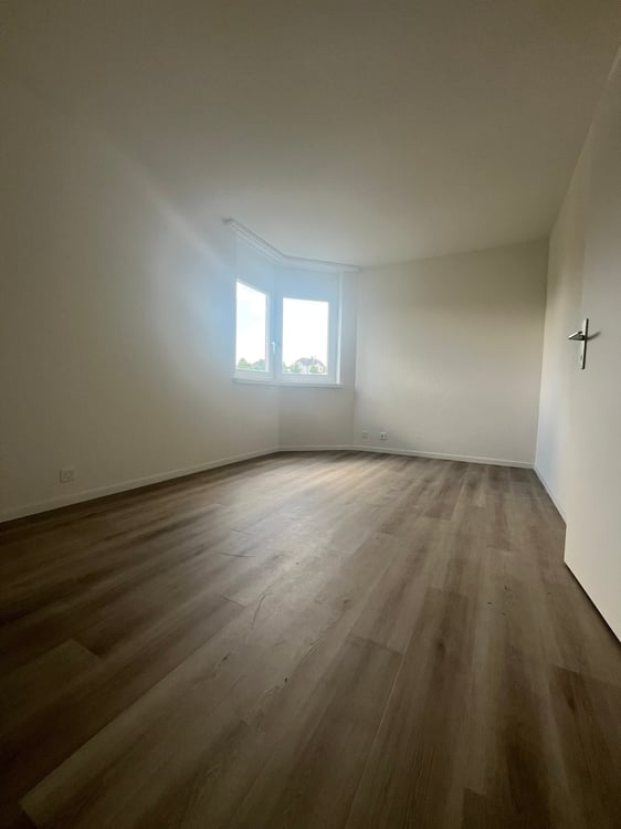 Was will man mehr? Neu renovierte 4.5 Zimmer-Wohnung! 9