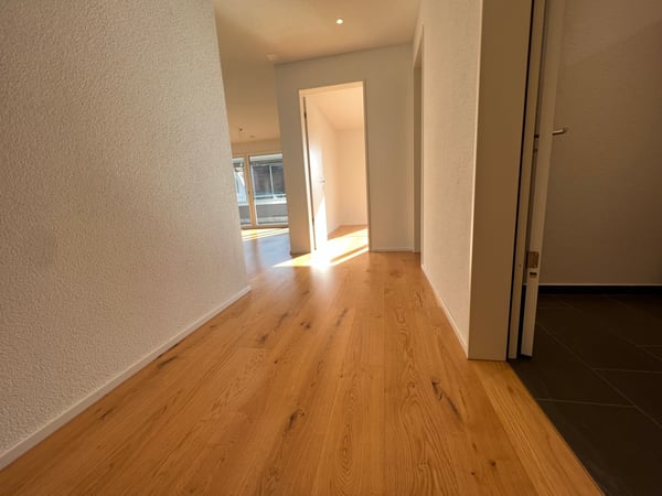 Wohnqualität auf höchstem Niveau in Reiden 4