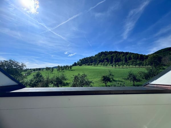 Gepflegtes MFH in Topzustand, solide Mieterschaft, schöne Lage 26