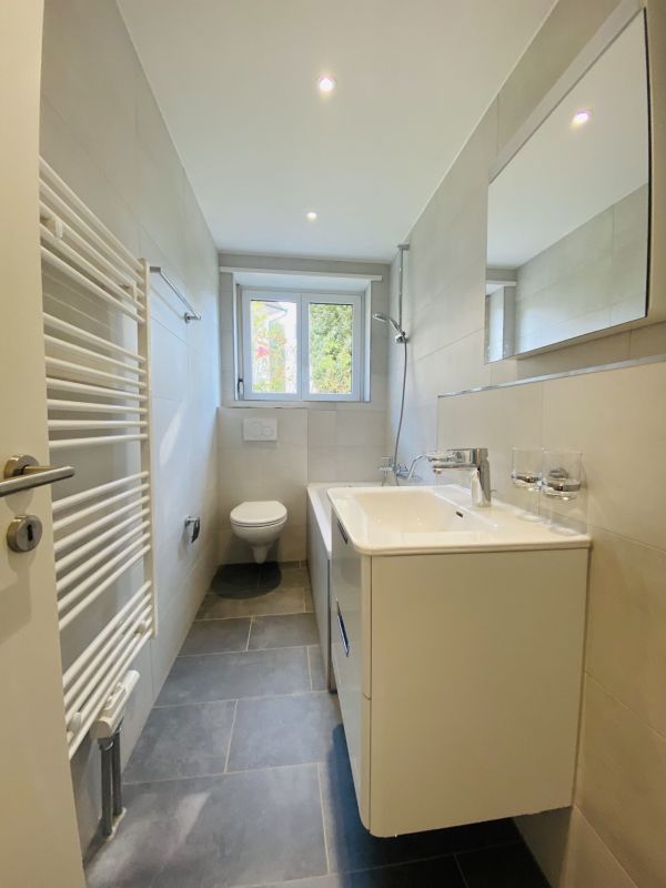 Total renovierte 2.5-Zimmer mit Balkon und Kellerabteil (1013)