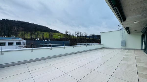 Exklusive 3.5-Zimmer-Attikawohnung mit 66 m² Terrasse und Tiefgaragenplatz 10