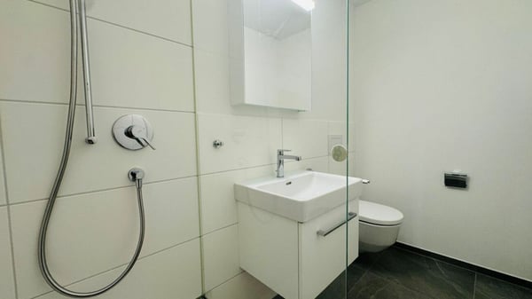 Totalsanierte 2.5-Zimmer-Wohnung mit Hobbyraum, Balkon, Estrich, Keller und Tiefgaragenplatz 12