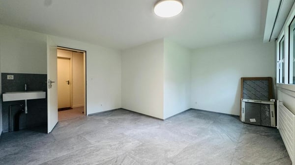 Totalsanierte 2.5-Zimmer-Wohnung mit Hobbyraum, Balkon, Estrich, Keller und Tiefgaragenplatz 10