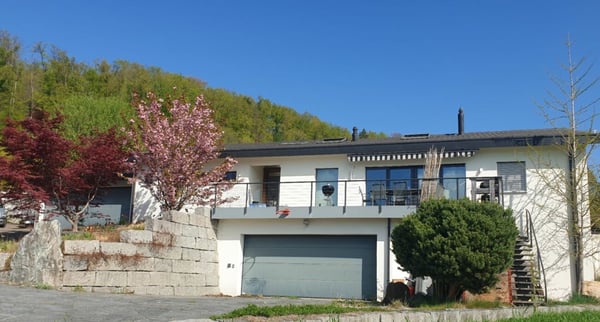 Exklusives Anwesen mit Villa, Nebenhaus, separater Wohneinheit, Praxis, Einstellhalle, Pool u. v. m. 5