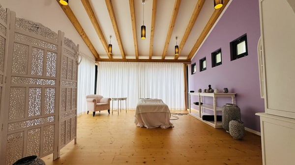 Exklusives Anwesen mit Villa, Nebenhaus, separater Wohneinheit, Praxis, Einstellhalle, Pool u. v. m. 20