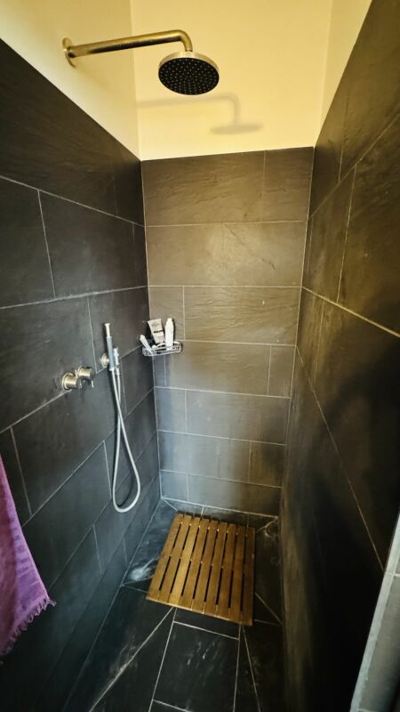 Exklusives Anwesen mit Villa, Nebenhaus, separater Wohneinheit, Praxis, Einstellhalle, Pool u. v. m.