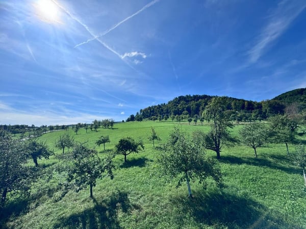 4.5-Dachwohnung, 2 Terrassen, ca. 32 m² Aussenfläche, schöner Aussicht und garagenbox 3