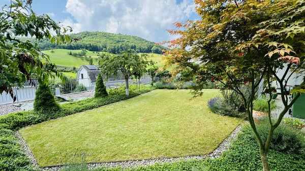 Wunderschönes 5.5-Zimmer Doppelhaus mit Garten, Sitzplatz, Balkon und 2 Parkplätzen 1