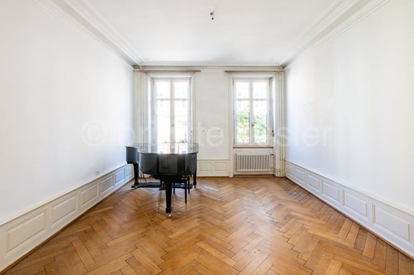 Jugendstilvilla mit Ausbaupotenzial an beliebter Stadtlage unweit des Schützenmattpark 5